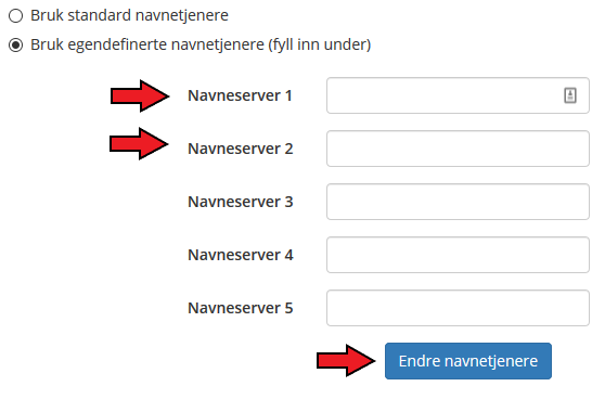 Nye navntjenere